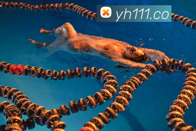 全球热力图